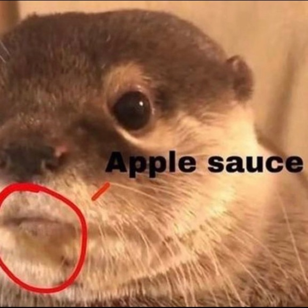 Meet your Posher, Venus